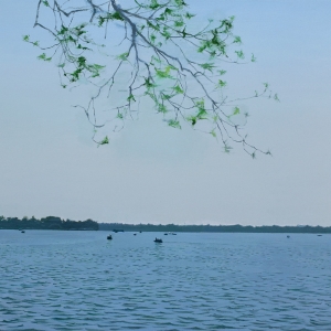 葉恒貴湖邊水景風(fēng)景油畫(huà)《風(fēng)景》欣賞