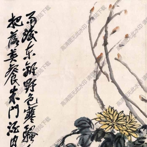 吳昌碩《菊花》國畫高清大圖下載