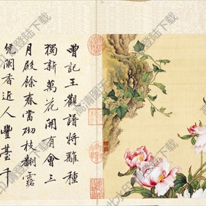 清 郎世寧《工筆重彩花卉》-9國(guó)畫(huà)高清大圖下載