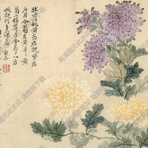 清 惲南田《菊花》國畫高清大圖下載