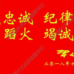 對(duì)黨忠誠(chéng)紀(jì)律嚴(yán)明 習(xí)總消防十六字超高清圖下載