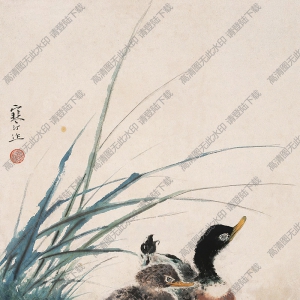 江寒汀國(guó)畫作品 水鳥 高清下載