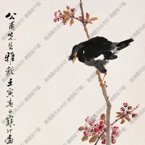 江寒汀作品 花鳥(niǎo)畫(huà)17 高清大圖下載