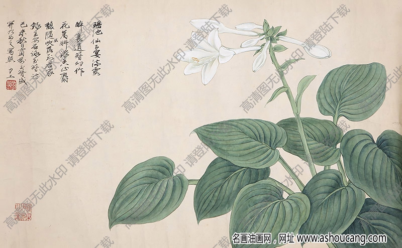 劉力上國(guó)畫(huà)作品 玉簪花 高清下載