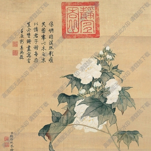 錢(qián)維城作品 木芙蓉 高清大圖下載