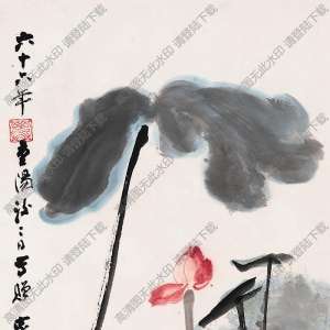 張大千作品 荷花 六十六年重陽(yáng)后二日寫(xiě)贈(zèng) 高清大圖下載