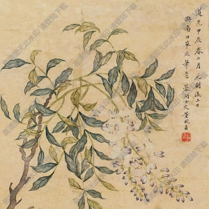 湯貽汾妻子董婉貞國(guó)畫(huà) 花卉蟲(chóng)草 高清大圖下載