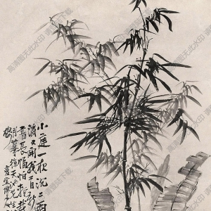 李鱓作品 竹石芭蕉 高清大圖下載