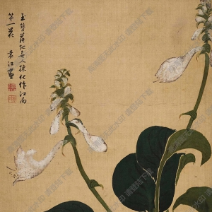 袁江國(guó)畫(huà) 玉簪花 高清大圖下載