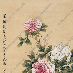 蔣廷錫國(guó)畫(huà) 花卉 (1) 高清大圖下載