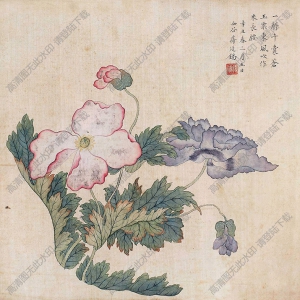 蔣廷錫國(guó)畫(huà) 花卉 (6) 高清大圖下載