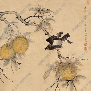 陸治國(guó)畫(huà) 花鳥(niǎo) (2) 高清大圖下載