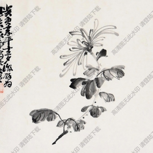 蕭俊賢國(guó)畫(huà) 菊花 (1) 高清大圖下載