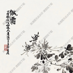 蕭俊賢國(guó)畫(huà) 秋菊 高清大圖下載