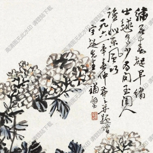 吳茀之作品 繡球花 (2) 高清大圖下載