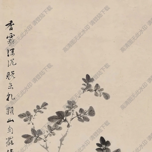 費(fèi)丹旭國(guó)畫(huà) 仿陳白陽(yáng)花卉 高清大圖下載